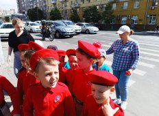 img (8)